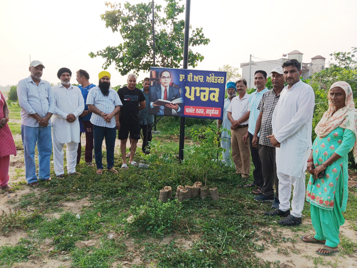Adarsh ??Social Welfare Society planted shady trees in Pramod Nagar under the "Beti Bachao-Dharti Bachao" campaign.